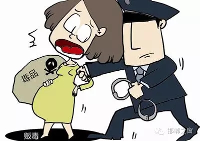 2016年初，涉縣警方查獲一起涉毒案件，鑒于該案涉案人員多、毒品交易量大，涉縣警方立即將案情上報(bào)，被公安部確立為“目標(biāo)-2016-314”號(hào)毒品案件。涉縣警方成立專案組，經(jīng)過(guò)多方追查，先后抓獲團(tuán)伙人員13名，繳獲毒品5349克，并查明上線“濮姐”的真實(shí)身份為陳某。